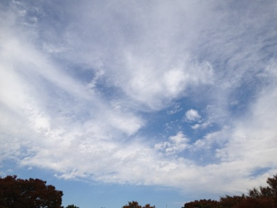 空を見上げて、電線が無いのがいいですねえ