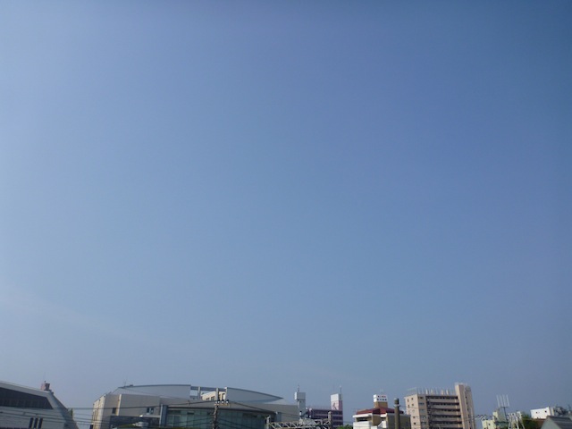 P1000239-1