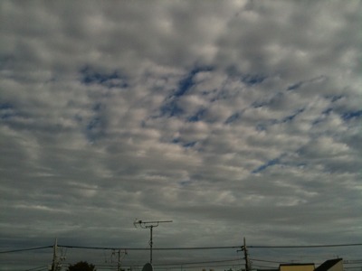 お日様が出てきました。