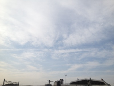 雨なので、だらだらしています