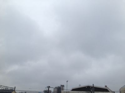 雨なので、だらだらしています