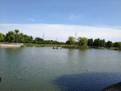 舎人公園なぅ